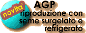 AGP riproduzione con seme surgelato e refrigerato